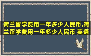 荷兰留学费用一年多少人民币,荷兰留学费用一年多少人民币 英语